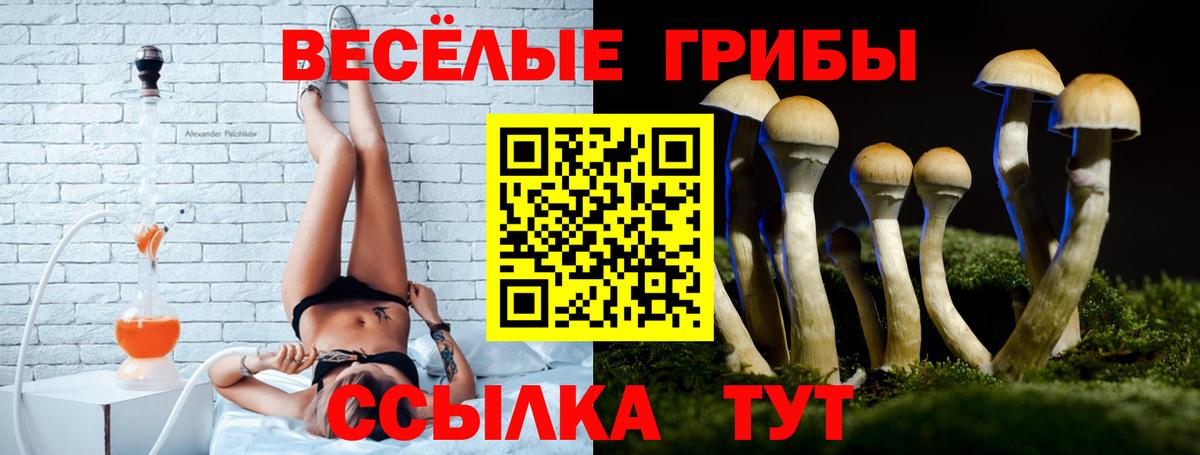 Галлюциногенные грибы ЛСД  Вход с VPN  Галлюциногенные грибы MAGIC MUSHROOMS  закладка  Саратов 